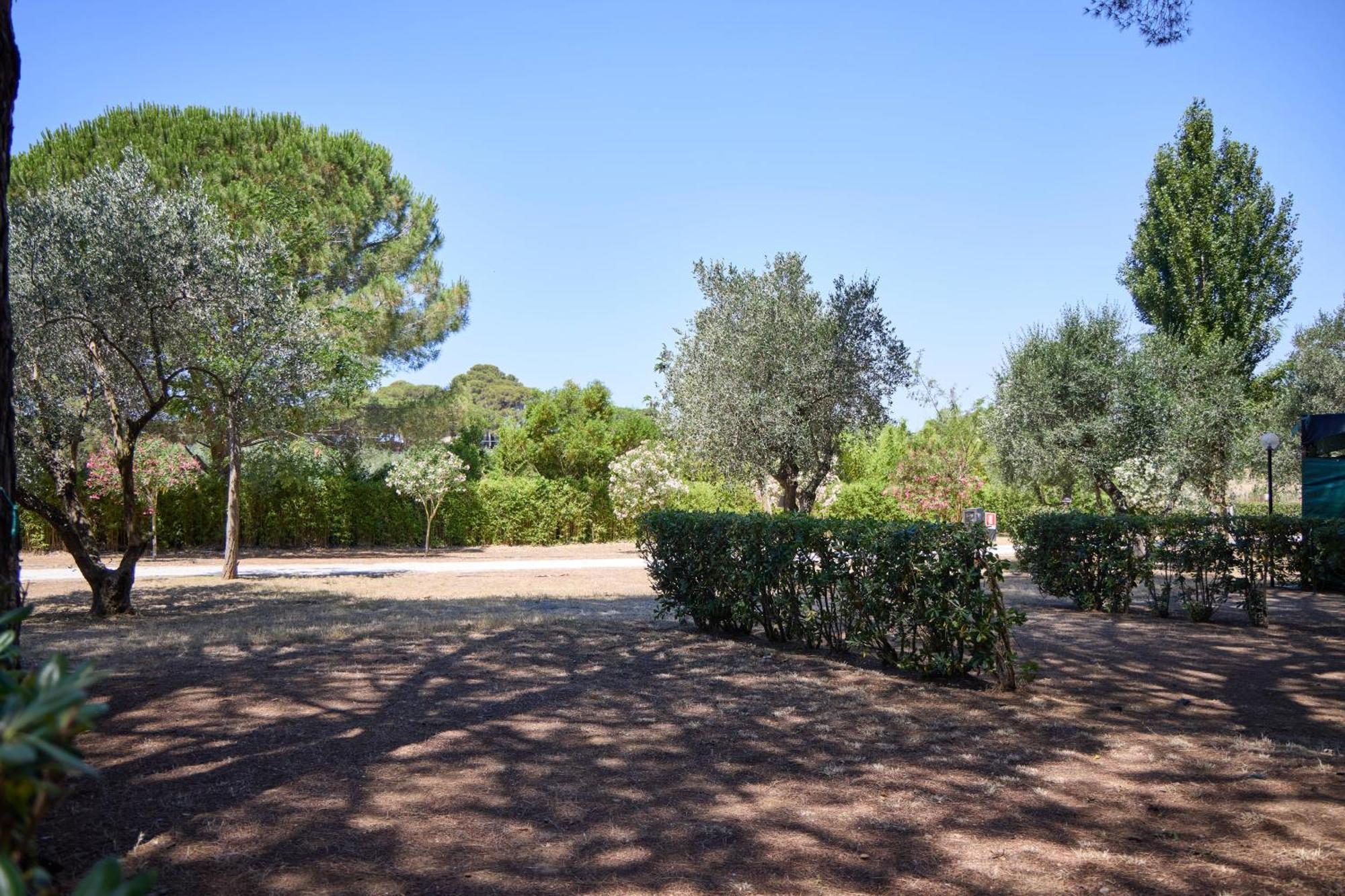 Costa D'Argento - Camping Village Club Capalbio Bagian luar foto