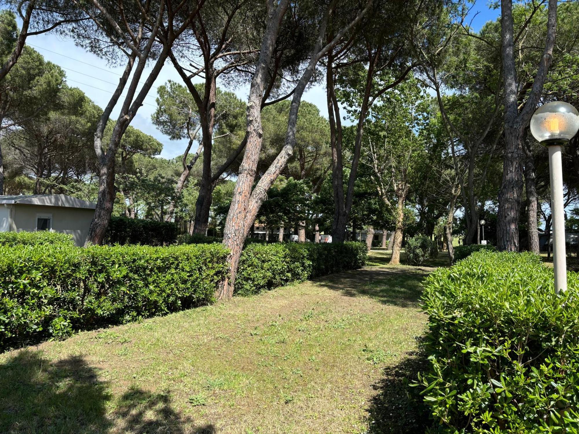 Costa D'Argento - Camping Village Club Capalbio Bagian luar foto